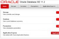 Oracle 데이터베이스 생성 수동으로 새 Oracle 데이터베이스 생성