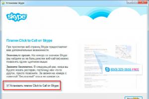 როგორ დააინსტალიროთ Skype ლეპტოპზე უფასოდ: ნაბიჯ-ნაბიჯ ინსტრუქციები